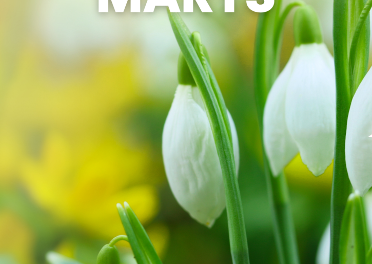 Aktivitātes jauniešiem martā