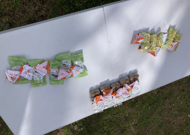 Projekta “Jauni Soļi Ikdienai” aktivitāte “Orientēšanās dabā”