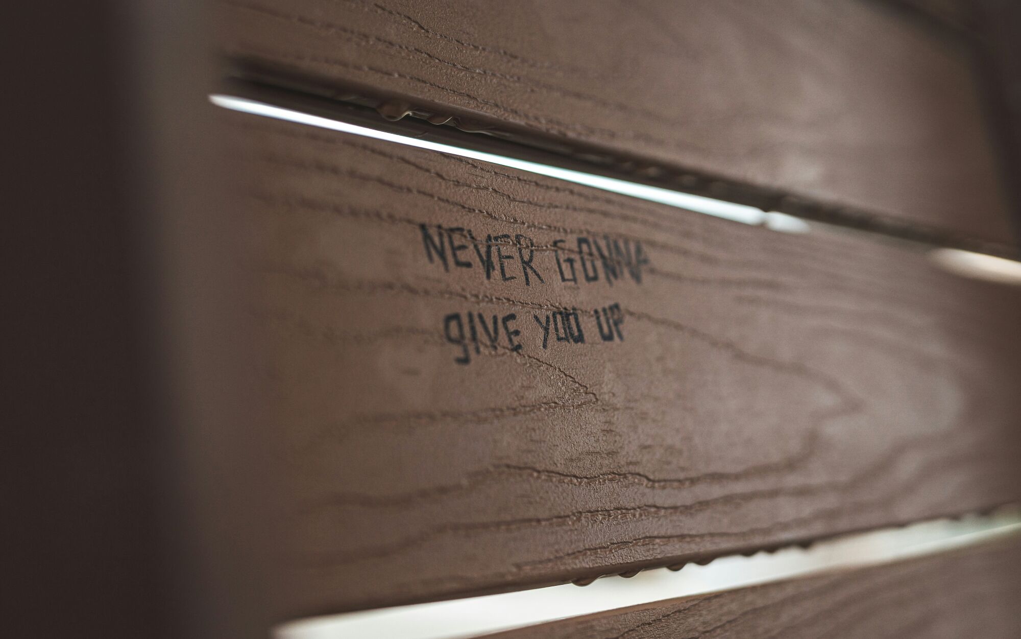 Jēkabpils novada jaunieši