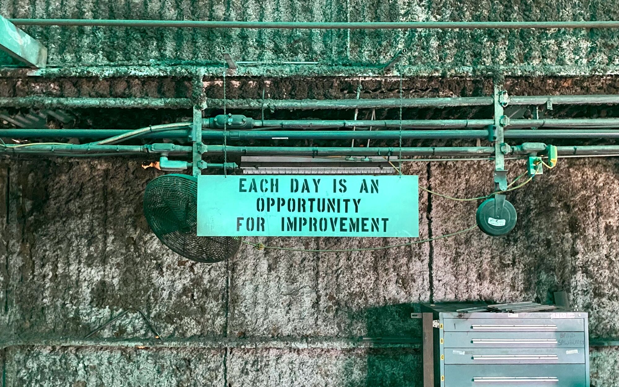 Jēkabpils novada jaunieši